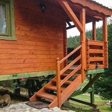 Cabana Casa Craita Зэрнешти Экстерьер фото