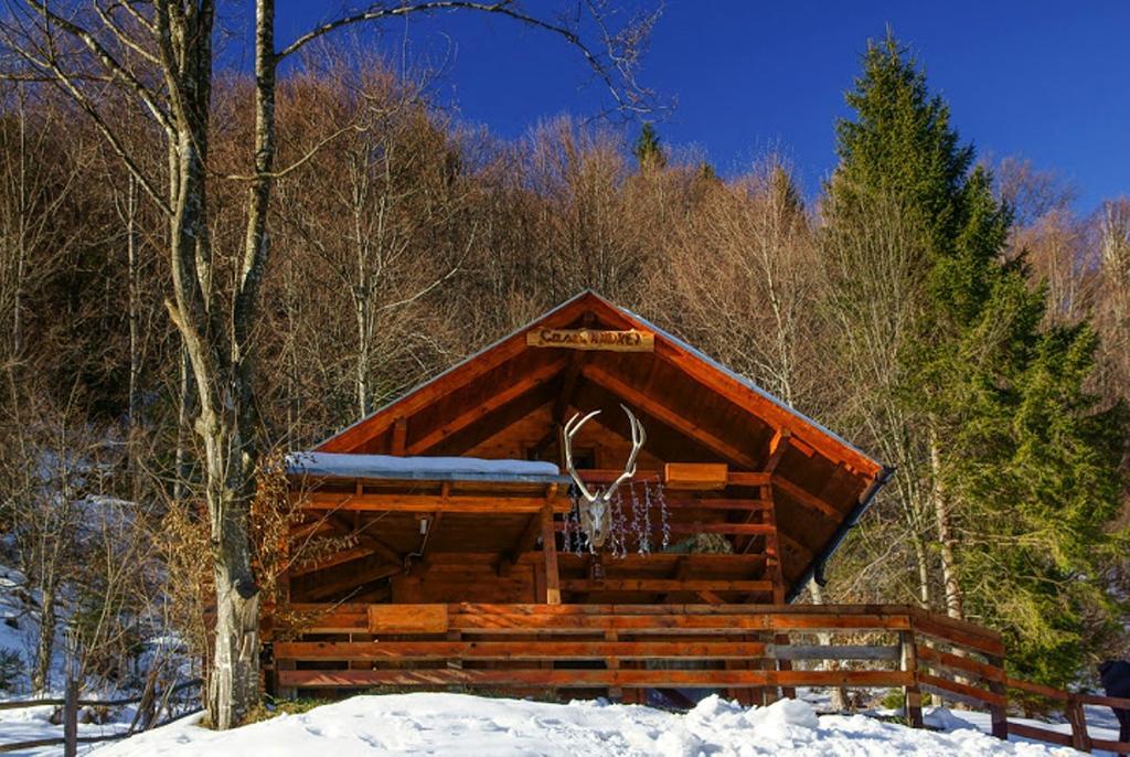 Cabana Casa Craita Зэрнешти Номер фото
