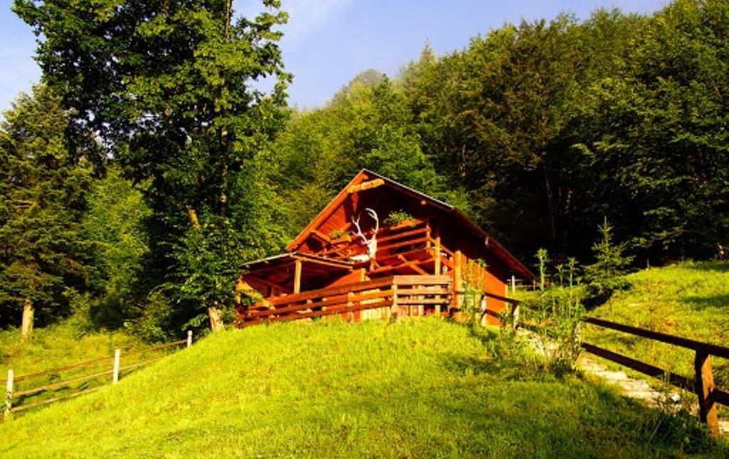Cabana Casa Craita Зэрнешти Номер фото