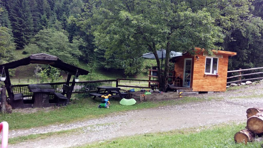 Cabana Casa Craita Зэрнешти Экстерьер фото