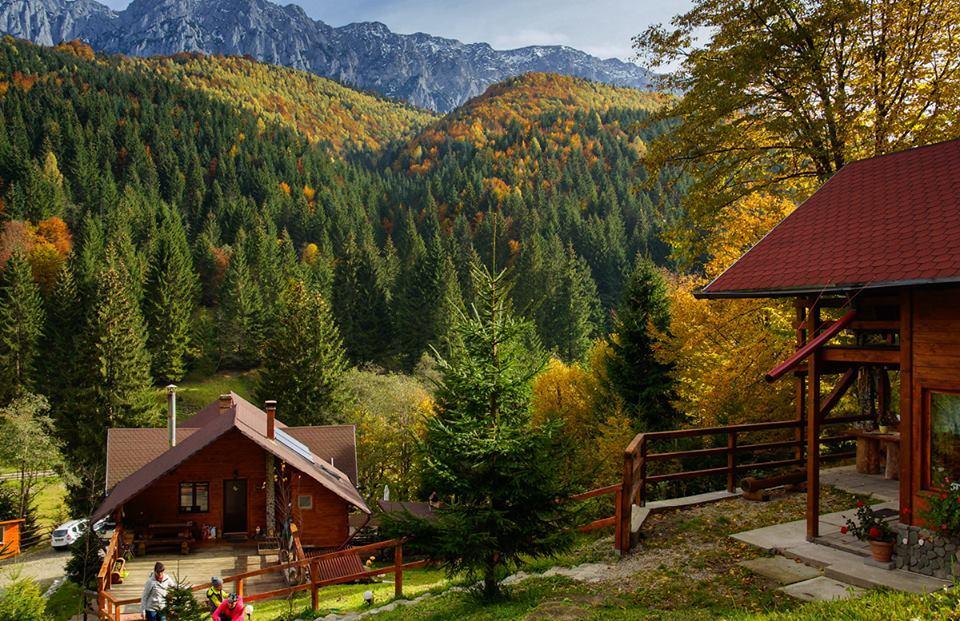 Cabana Casa Craita Зэрнешти Экстерьер фото