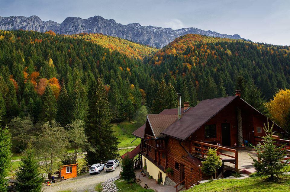 Cabana Casa Craita Зэрнешти Экстерьер фото