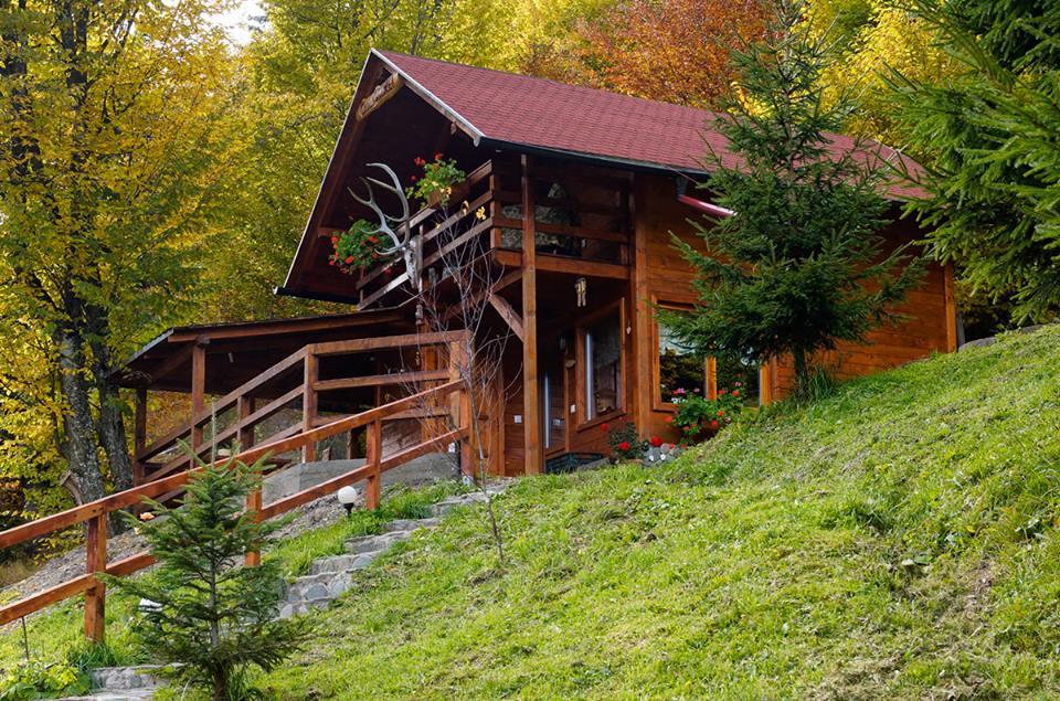 Cabana Casa Craita Зэрнешти Экстерьер фото